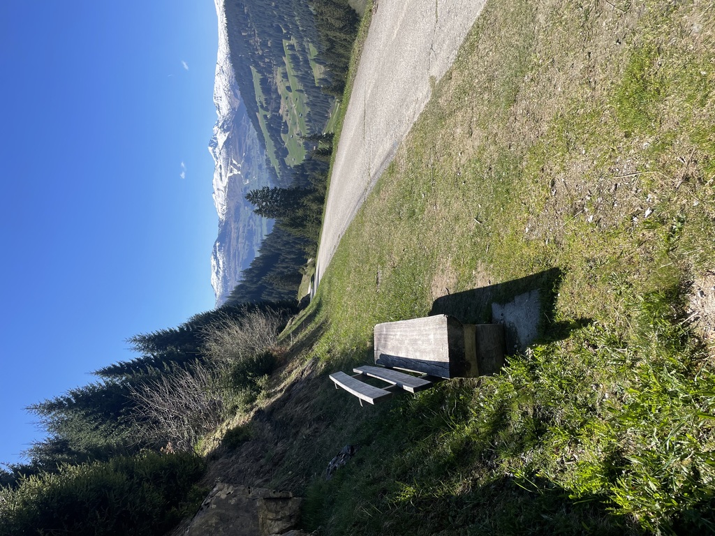 Bank